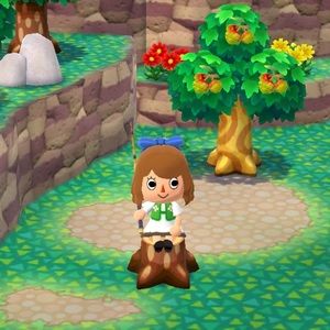 Meet your Posher, Sophia